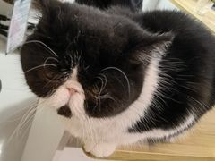 -平行世界·猫咖(首经贸店)