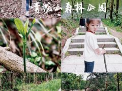 -青龙山国家森林公园