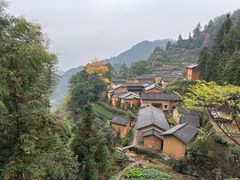 -杨家堂村