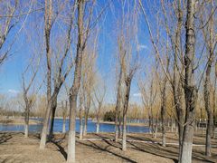 -大兴滨河森林公园