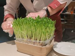 -海底捞火锅(万丰桥店)