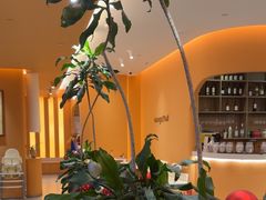 -美泰·Mangothai·清迈云街(天空之城店)