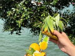 -苏小糖(鼓浪屿三丘田花园店)