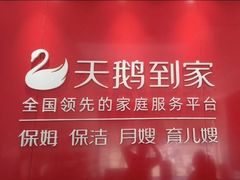-天鹅到家·保姆月嫂育儿嫂(朝阳店)