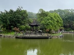 -广州市帽峰山景区