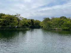 -济州森林小火车生态公园