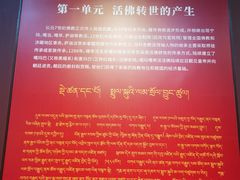 -西藏文化博物馆