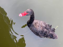 -北京鹿世界主题园