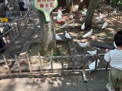 -南昌动物园
