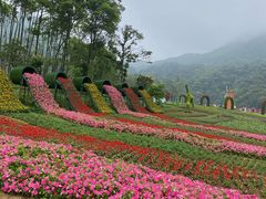 -广州市石门国家森林公园
