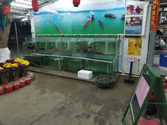 -蚝乡农庄(铁涌赤岸店)