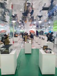 -神奇动物撸宠馆·羊驼·小浣熊·异宠(豫园店)