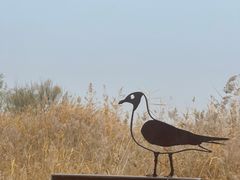 -野鸭湖国家湿地公园