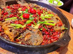 -老板恋上鱼(恒隆广场店)