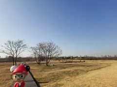 -盘龙城国家考古遗址公园