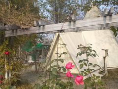 -安德鲁户外烧烤帐篷营地(马泉营店)