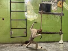 -石家庄市动物园