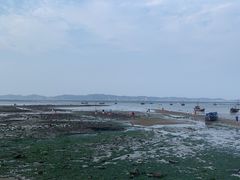-兴旺渔家