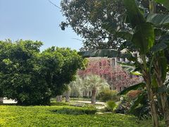 -抚仙湖万达文华酒店