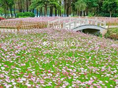-晓港公园