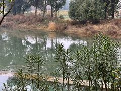 -两河城市森林公园