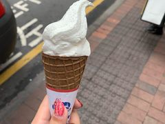 -富豪雪糕车流动点(尖沙咀店)