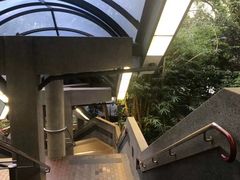 -香港大学