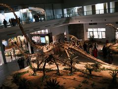 -自贡恐龙博物馆