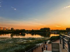 -大兴滨河森林公园