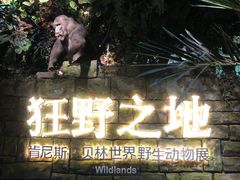 -浙江自然博物院(杭州馆)