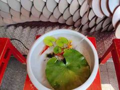 -小龙坎火锅(IFS HOT店)