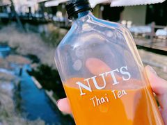 -Local泰莲庭(虹鳟鱼店)