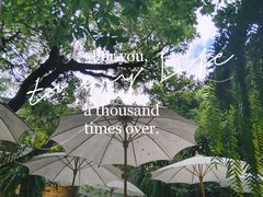 -Fern Forest Cafe