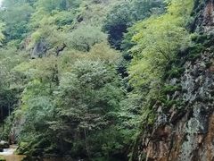 -茅兰沟国家森林公园