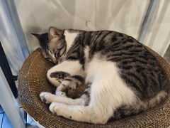 -坊间咖啡馆(贝岗店)