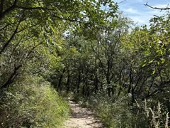 -阳台山自然风景区