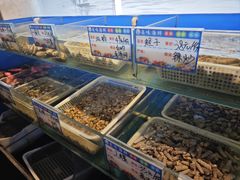 -华盛丰温州大排档(东三环南路店)