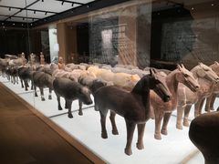 -汉景帝阳陵博物院