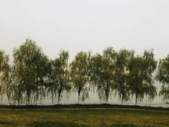-砂之船奥特莱斯(合肥店)