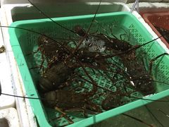 -外伶仃岛海鲜市场