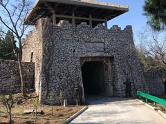 -原山国家森林公园