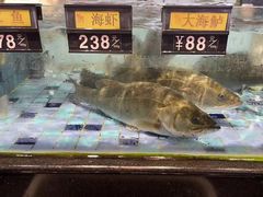 -凤城·食都