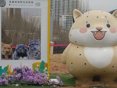 -青藏高原野生动物园