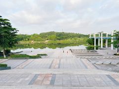 -东莞植物园