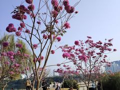 -南宁南湖公园