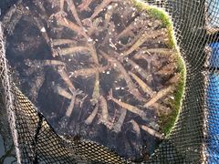 -海上驿站渔家菜馆