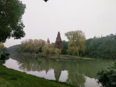 -昆山城市生态森林公园