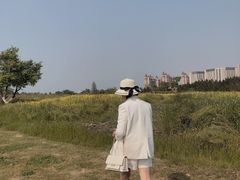 -瑶湖郊野森林公园