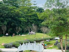 -黄埔油麻山森林公园