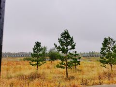 -玉龙沙湖景区
